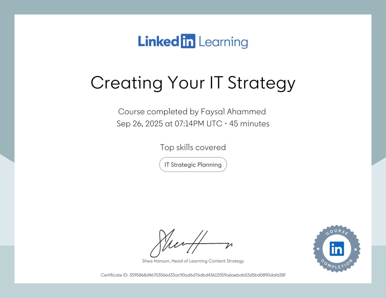 Creating Your IT Strategy